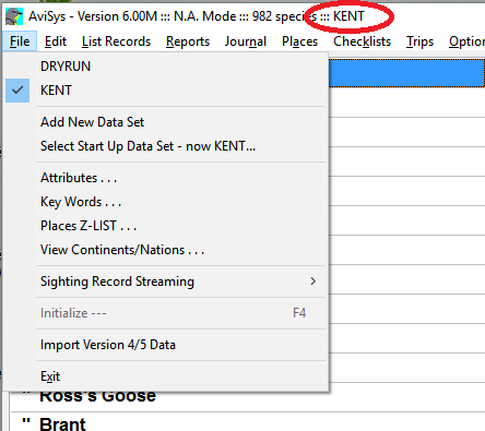 How to switch to DRYRUN data set